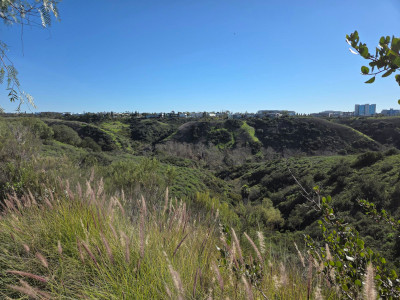 Lopez Canyon from Calle Cristobal looking South