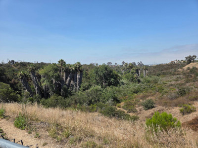 Rattlesnake Canyon West from Maddox Park