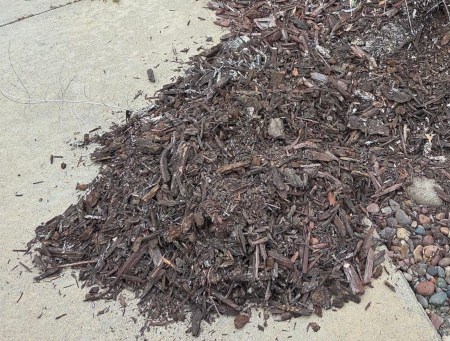 scrappedmulch